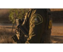 В Калифорнии спасли 37 пропавших детей