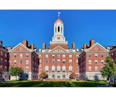 Гарвардский университет опустился на третье место