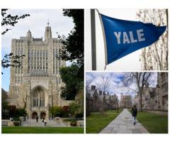 Йельский университет предлагает бесплатное обучение для семей с низким доходом